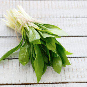 Spring Herb Hunt Image